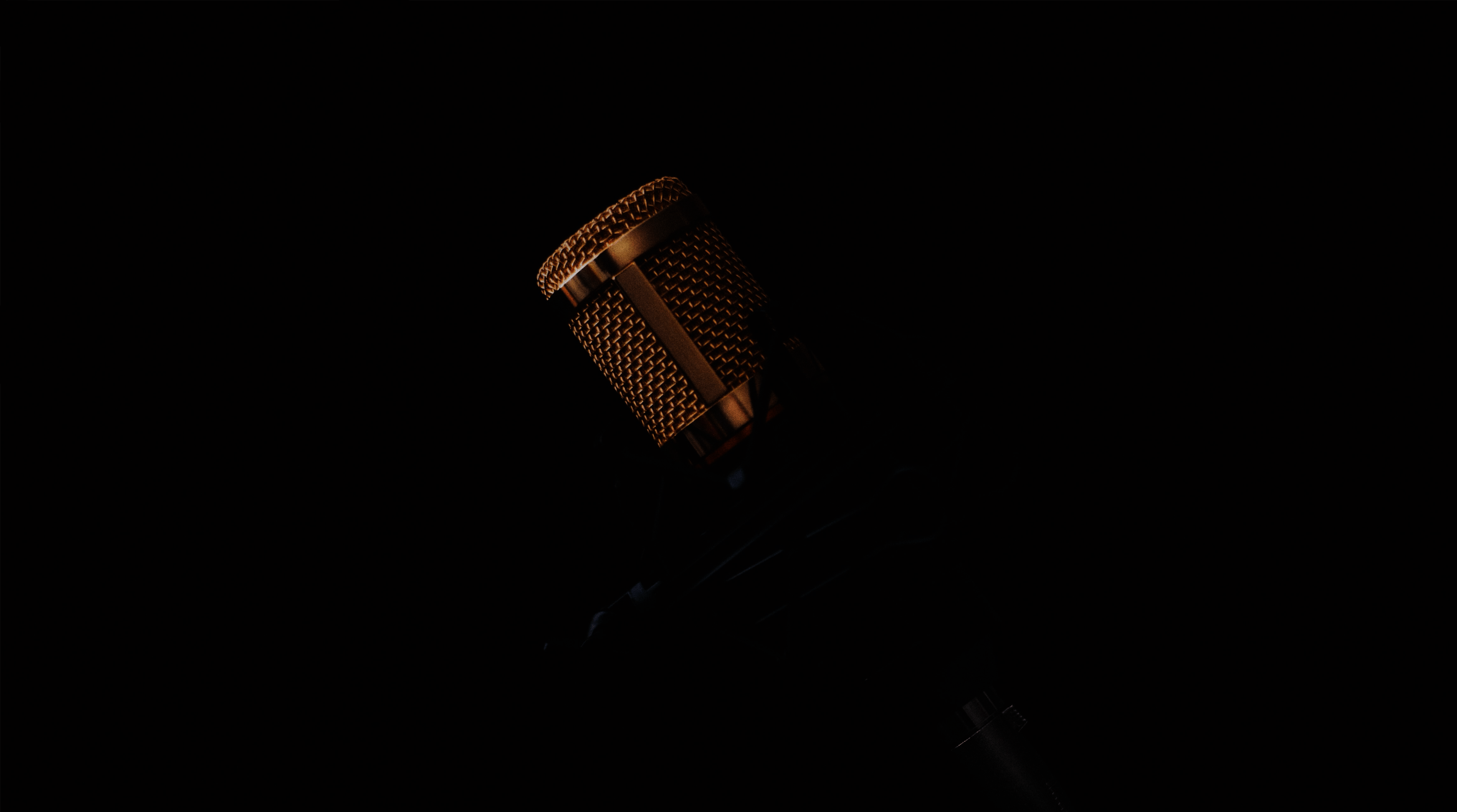 microphone